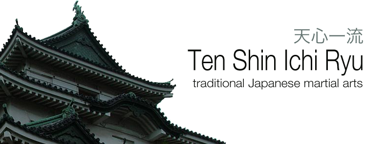 Ten Shin Ichi Ryu Japanese martial arts